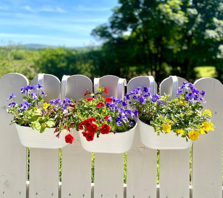 Gortin Mill Farm Retreatヴィラ エクステリア 写真