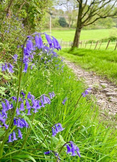 Gortin Mill Farm Retreatヴィラ エクステリア 写真